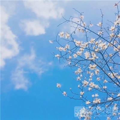 硬核加冕！华茂欧特仿生智能总线...