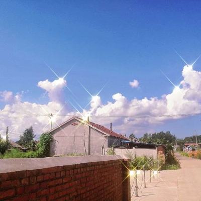 社保“第六险”来了！如何缴费